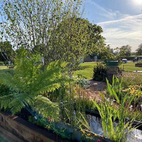 Longstock Park soft landscaping 