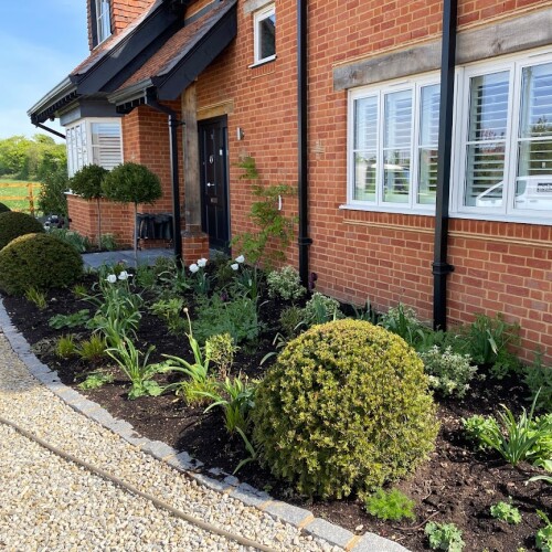 Front of house garden border