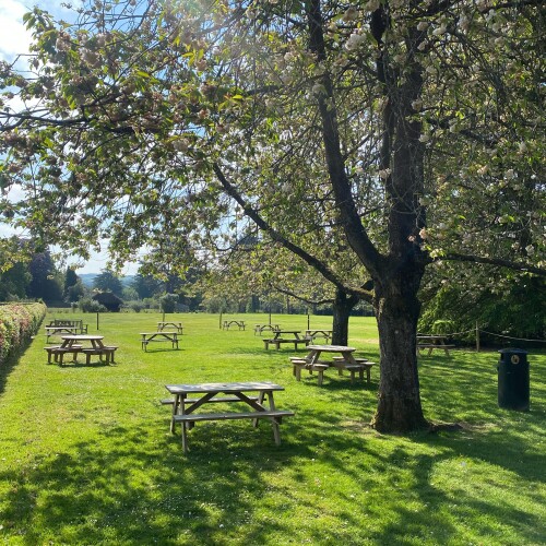 Picnic benches in Longstock Park