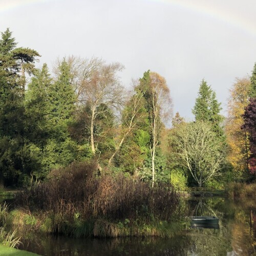 Woodland in the water garden