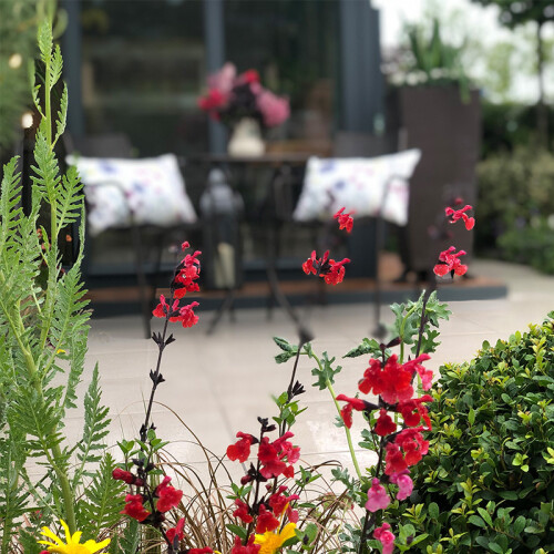 Garden Furniture. Leckford Garden Shop