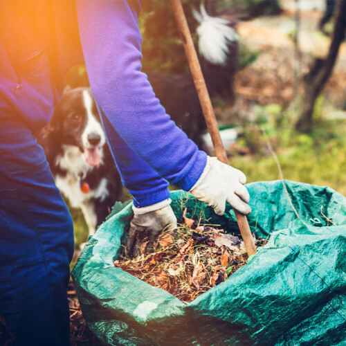 Garden Landscaping in hampshire