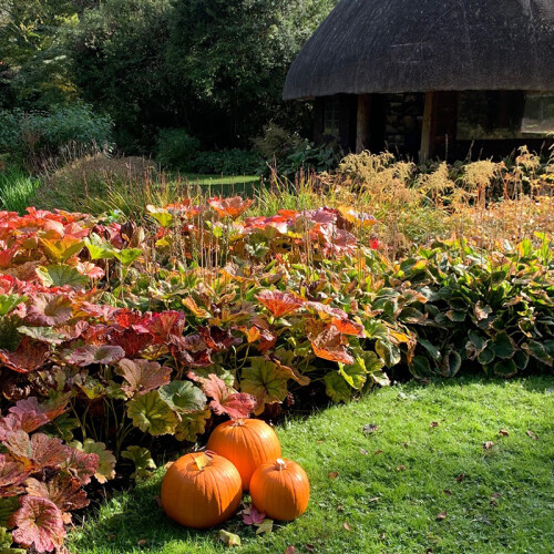 Leckford Water Garden Halloween Trail