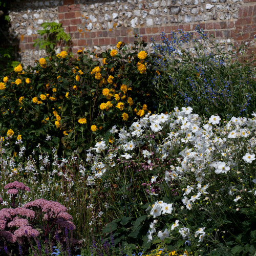 longstock park walled garden