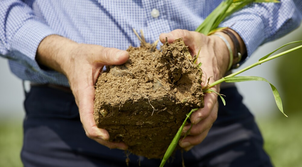 Soil Health