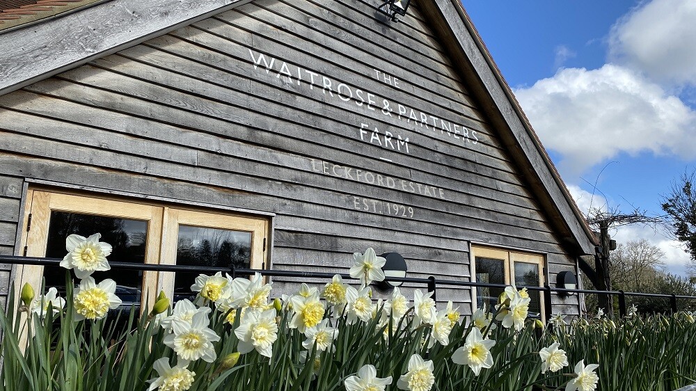 Daffodils outside Longstock Park Farm Shop