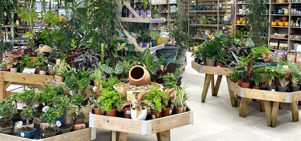 Garden plants at at The Longstock Park Garden Centre