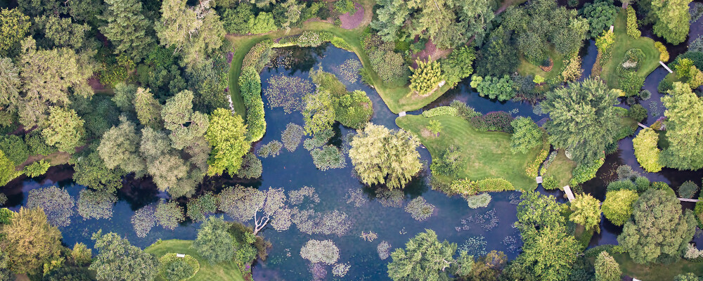 Longstock Park Water Garden 