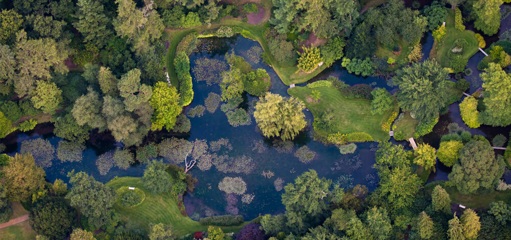 Water garden