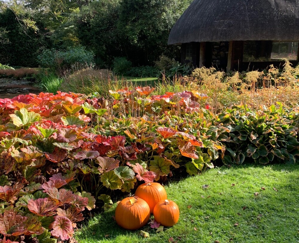Halloween Autumn-Themed Scavenger Hunt