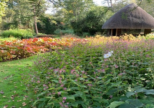 Thatched summerhouse in the garden