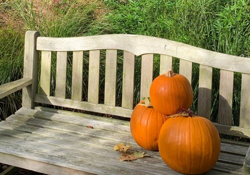 Halloween Scavenger Hunt : Gather your little goblins and ghouls!