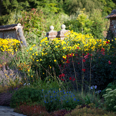 Gardening Bliss: Essential Tips for a Lush and Healthy Garden