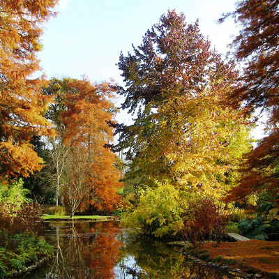 The Magic of Autumn at Leckford Estate