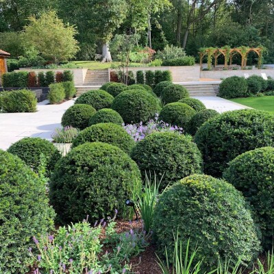 Landscaping services