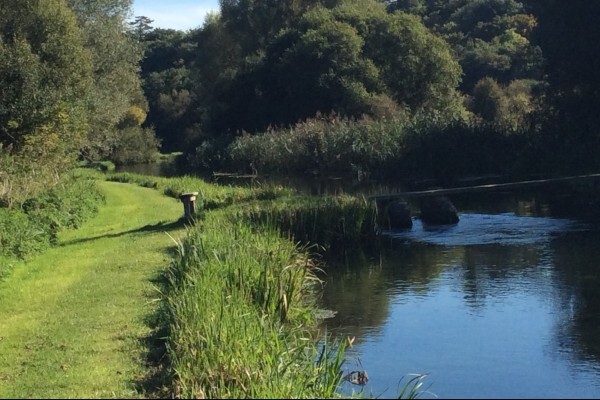 Summer river and path