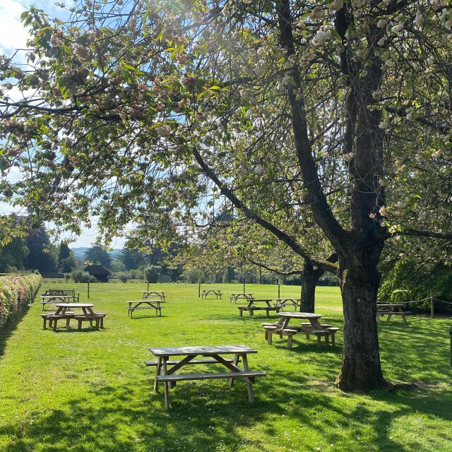 Leckford Cherry Tree Cafe